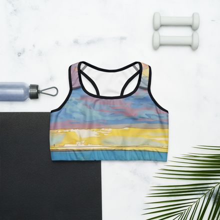 Boy2x Seascape Sports Bra