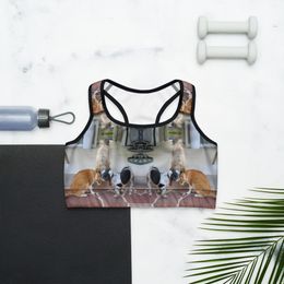 RFischer Sports Bra