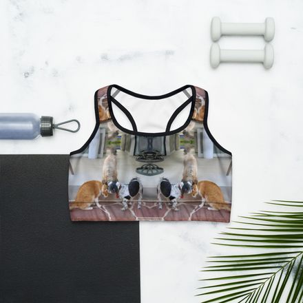 RFischer Sports Bra
