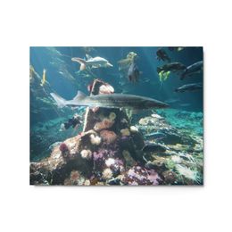 ZAG Stingray Glossy Metal Print (in)