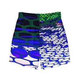 Juvy Birdcage Recycled Swim Trunks