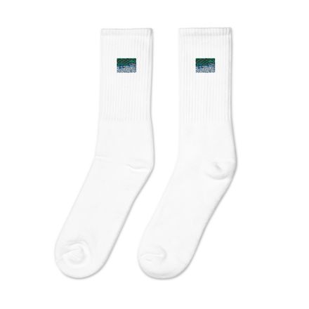 Juvy Birdcage Embroidered Crew Socks