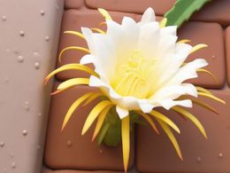 3D Dragonfruit Flower