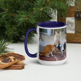 RFischer Ceramic Mug with Color Inside