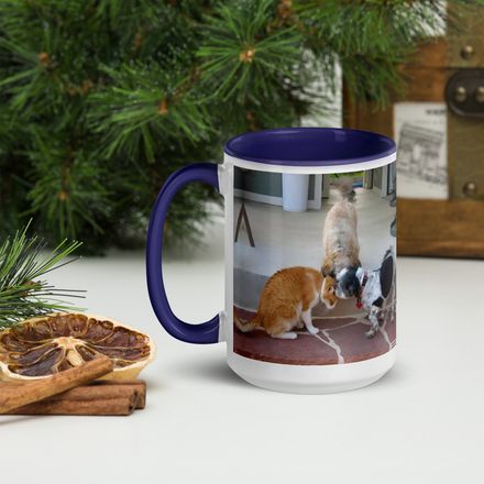 RFischer Ceramic Mug with Color Inside