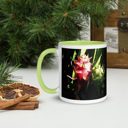 Nathy Dragonfruit Ceramic Mug with Color Inside