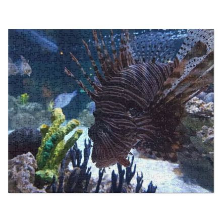 ZAG Zebra Fish Jigsaw Puzzle