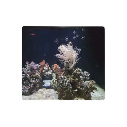 ZAG Tree Gaming Mouse Pad