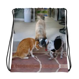 RFischer Drawstring Bag