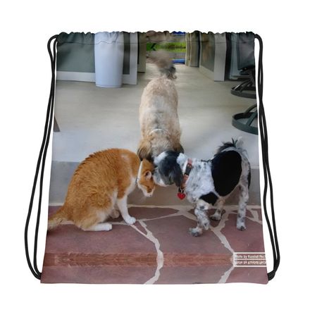 RFischer Drawstring Bag