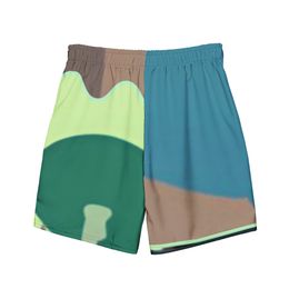 Glen Satelite Recycled Swim Trunks
