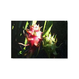 Nathy Dragonfruit Glossy Metal Print (in)