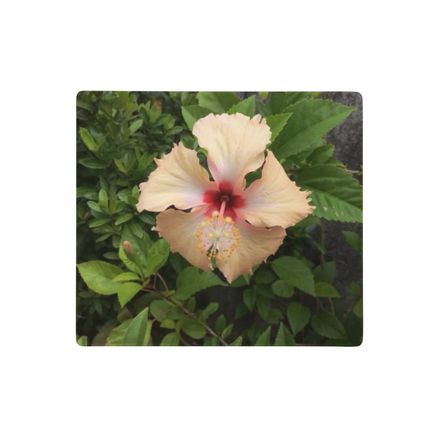 Nathy Gumamela Gaming Mouse Pad