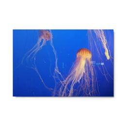 ZAG Orange Jellyfish Glossy Metal Print (in)