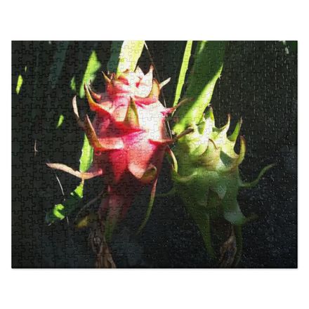 Nathy Dragonfruit Jigsaw Puzzle