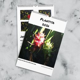 Plantita 2026 Calendar