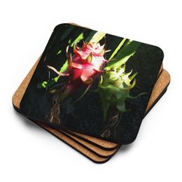Dragonfruit Coasters