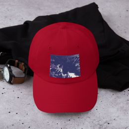 ZAG Zebra Fish Classic Dad Hat 