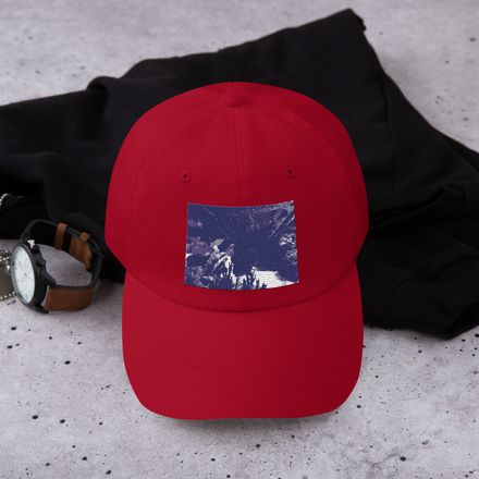 ZAG Zebra Fish Classic Dad Hat 