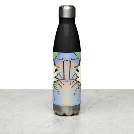 2Milard Stainless Steel Water Bottle