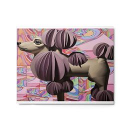 Bbluna60 Poodle Glossy Metal Print (in)