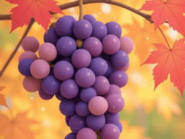 3D Grapes