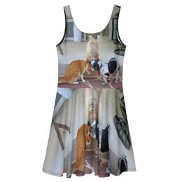 RFischer Skater Dress 
