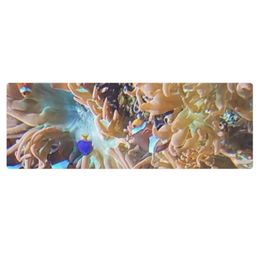 ZAG Orange Corals Yoga Mat