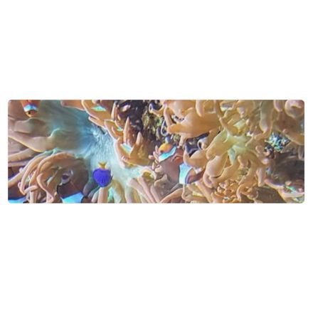 ZAG Orange Corals Yoga Mat
