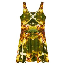 Milard Skater Dress