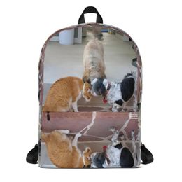 RFischer Backpack