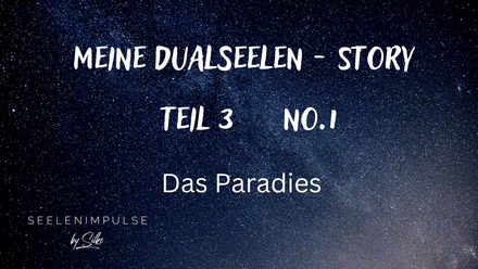 Meine Dualseelen - Story. Teil 3 ( No.1 ) 