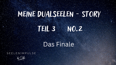 Meine Dualseelen - Story. Teil 3. ( No.2 )