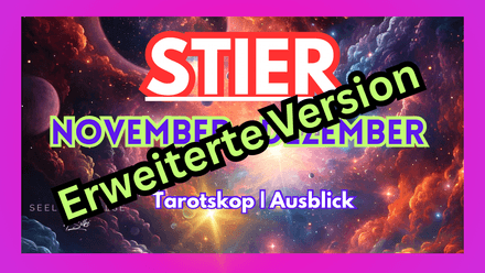 STIER   November - Dezember  2025