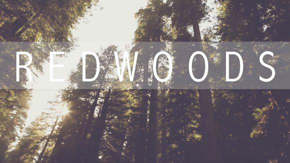 &quot;Redwoods&quot; Lyric Video