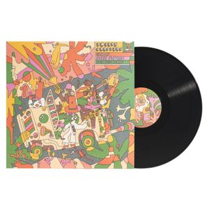 Twelve Chapters Vinyl