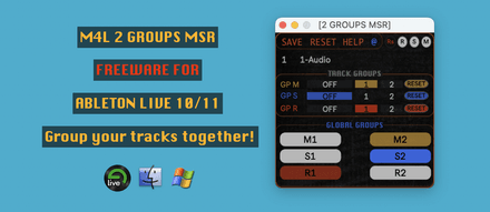 2 GROUPS MSR