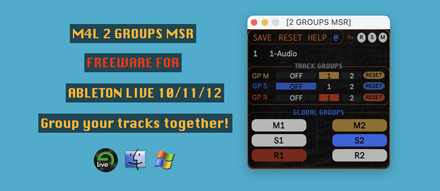 2 GROUPS MSR