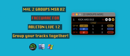 2 GROUPS MSR