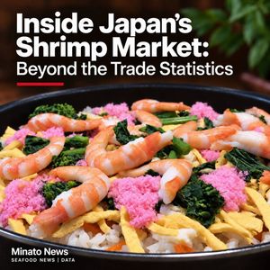 Inside Japan’s Shrimp Market: Beyond the Trade Statistics 🦐