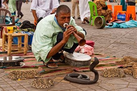 Loop of 2 Bambardes playing Arabic music