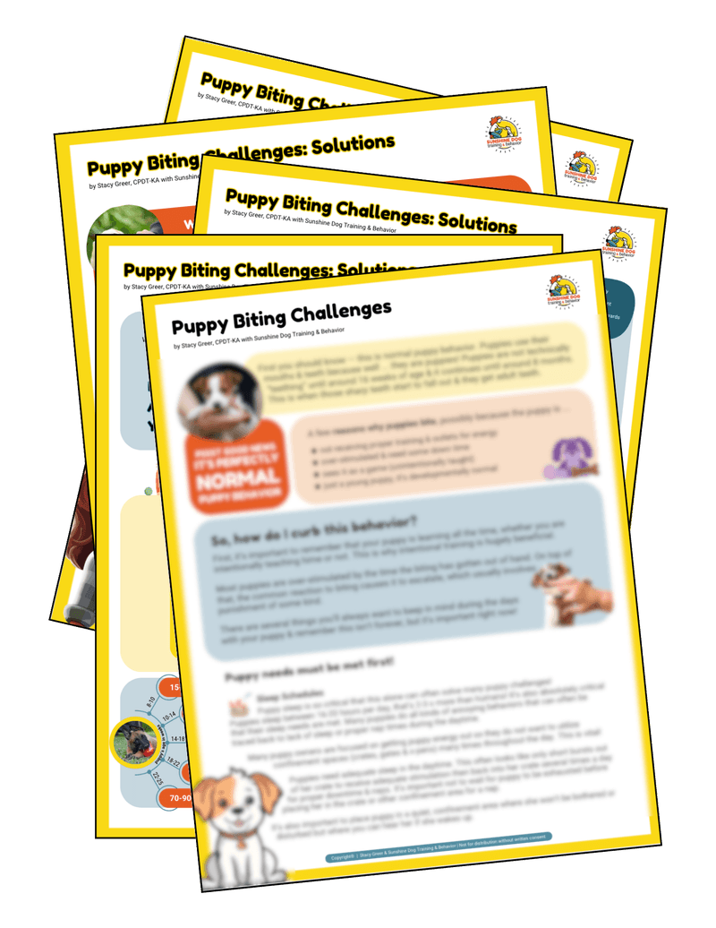 Puppy Biting Challenges