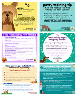 Potty Training Tips &amp; Tricks in color!