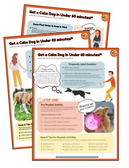 Get a Calm Dog in Under 60 minutes