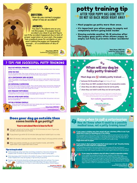 Potty Training Tips &amp; Tricks in color!