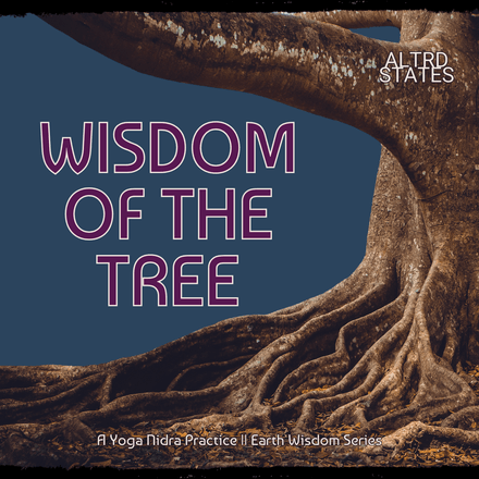 Wisdom Of The Tree || A Yoga Nidra Practice 