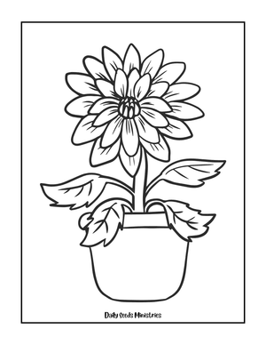 Free Potted Plant Coloring Activity 