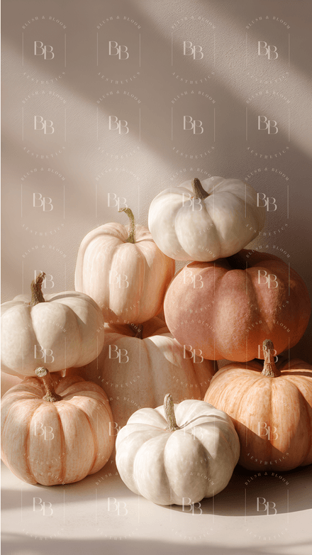 Blush Pumpkin Aesthetic iPhone Wallpaper – Fall Cute Phone Background