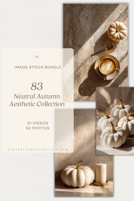 Neutral Autumn Aesthetic Stock Photo Collection