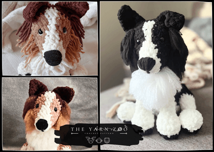 Caspar the Collie/Sheltie